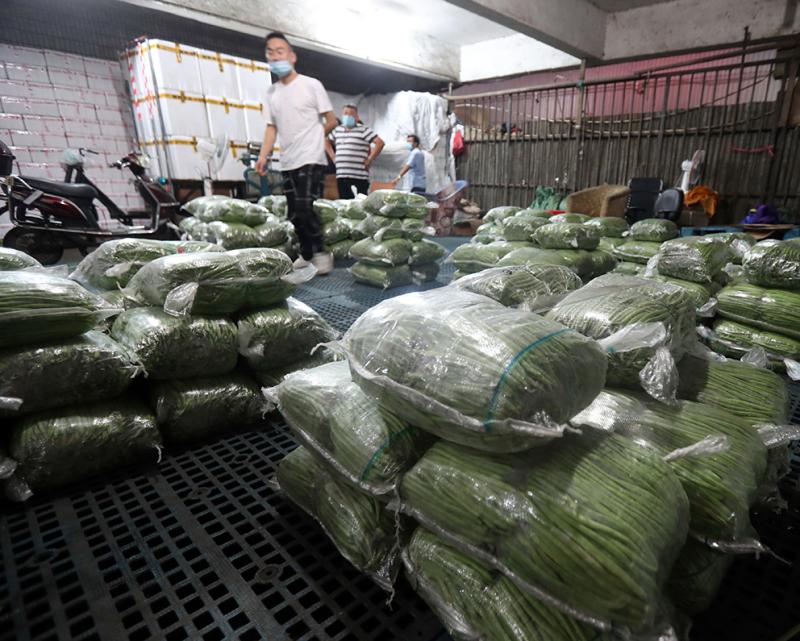 降雨持续,上海江桥蔬菜批发市场日均进场6000多吨150多个品种蔬菜