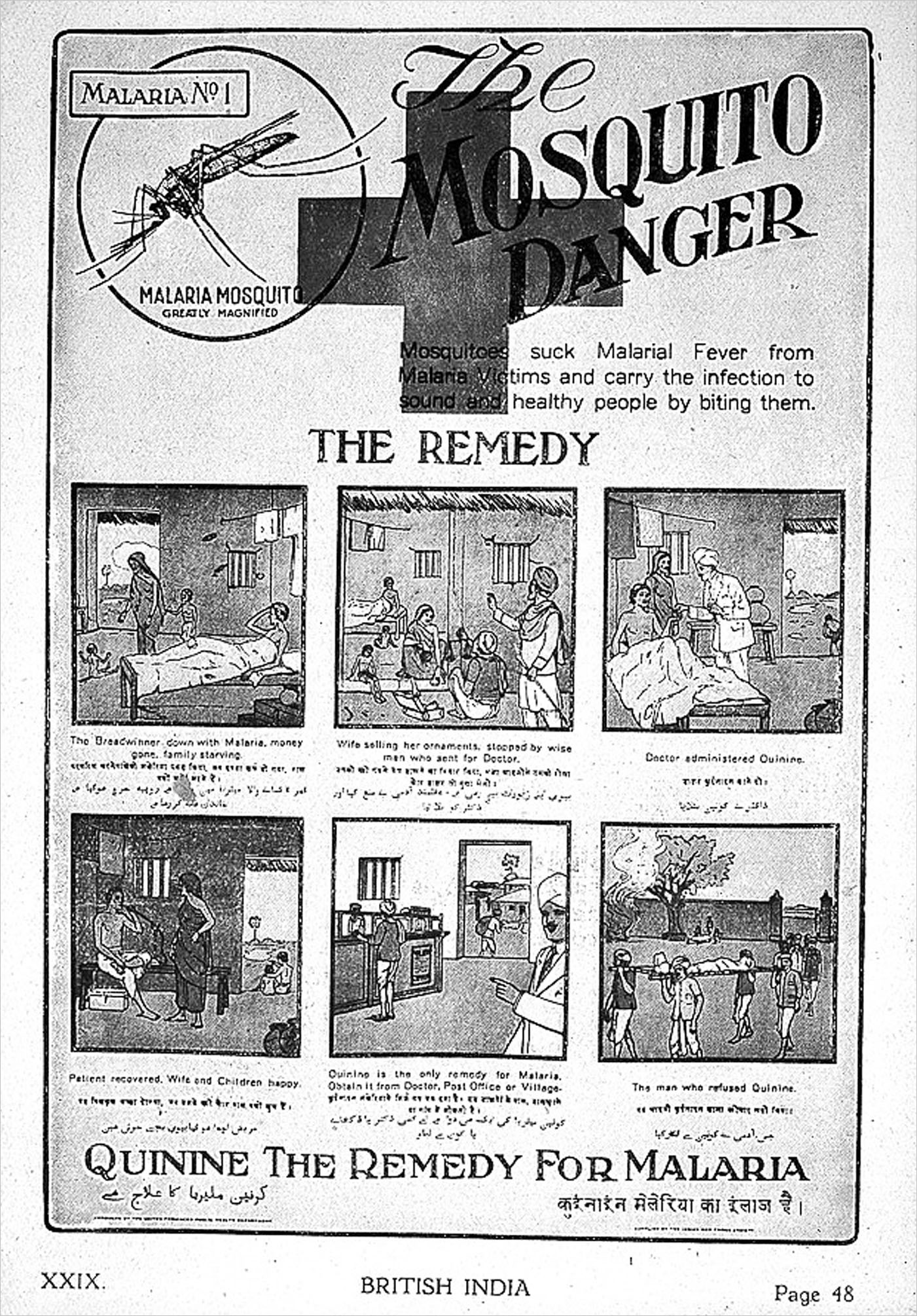 传染病上战场，比炮弹更凶猛 | 地球知识局