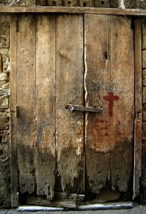 祖传老西医，专治黑死病