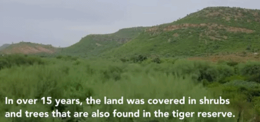 印度夫妻买下140000㎡荒地，倾家荡产就为了活命