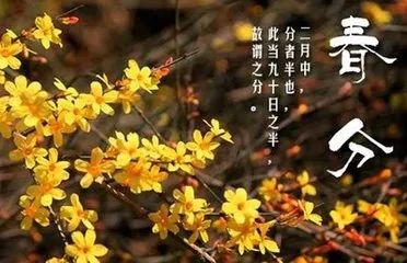 《春分》长卿