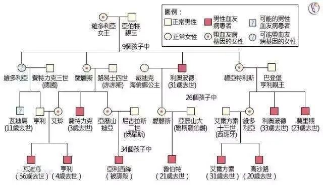 大事记王室病血友病到底能不能生育