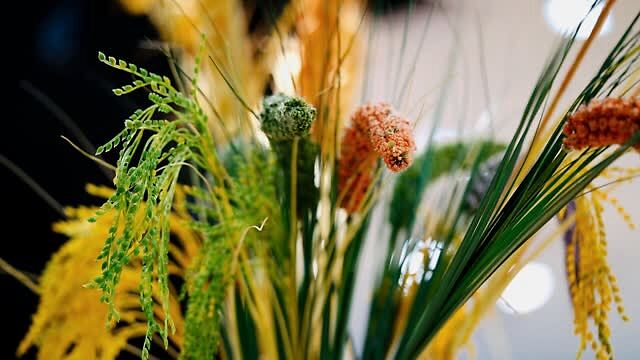 稳固农业“基本盘” 发展之基更牢靠