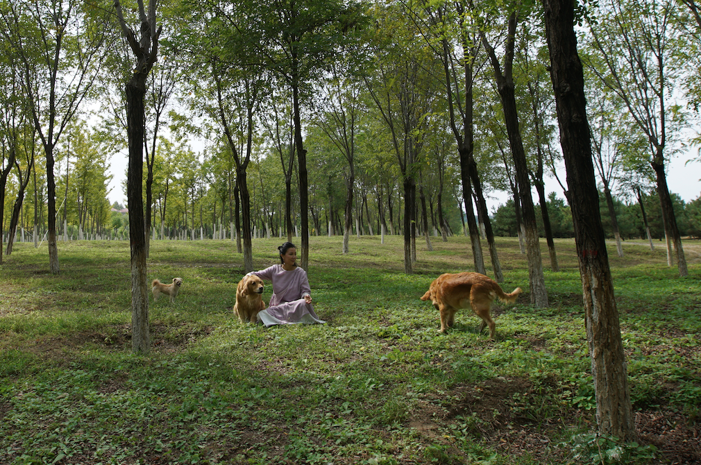 京郊女青年的抱团养老村