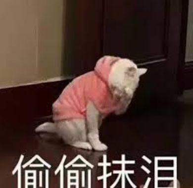 亲戚总爱问毕业工作谈恋爱了没？是不是故意恶心人