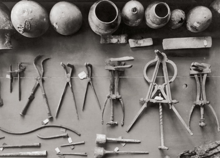 世界人民都有自己的中医|大象公会