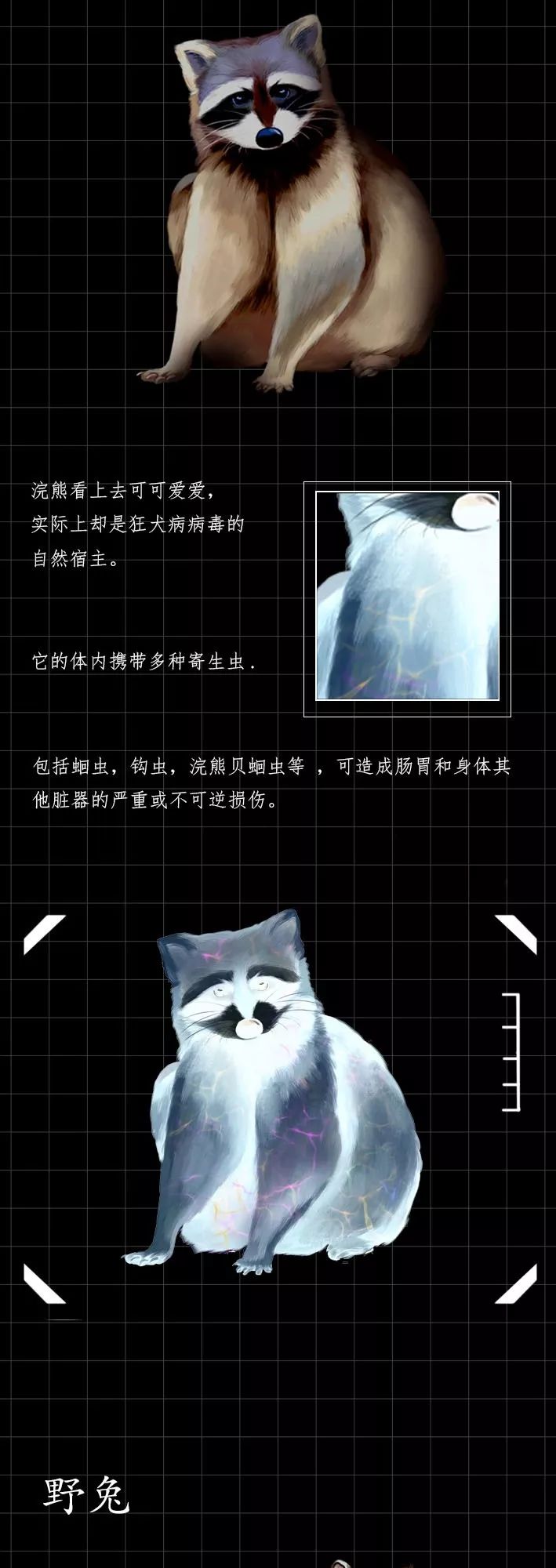 隐藏的「病毒携带者」曝光（赶紧举报）