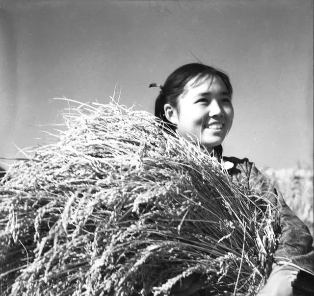 一组老照片,记录下了上世纪60年代勤劳能干的河南女人