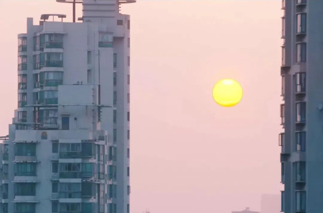 中国男女光棍超2亿,80%女性主动选择单身