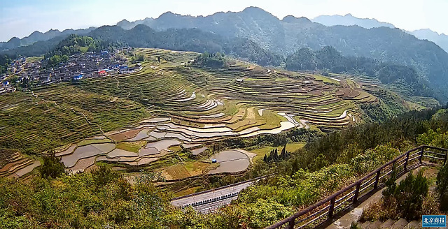 足不出户也可"饱餐"秀色 贵州丹寨首推"线上旅游"慢直播