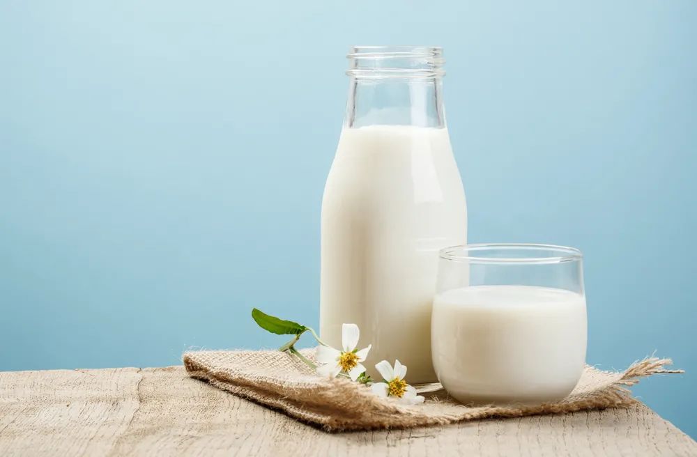 驼奶的营养价值比牛奶多好几倍?高价买的网红驼奶,到底值不值?