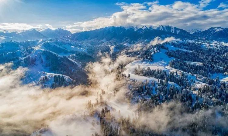 伊犁的库尔德宁,雪岭云杉生花,云雾缭绕美如仙境