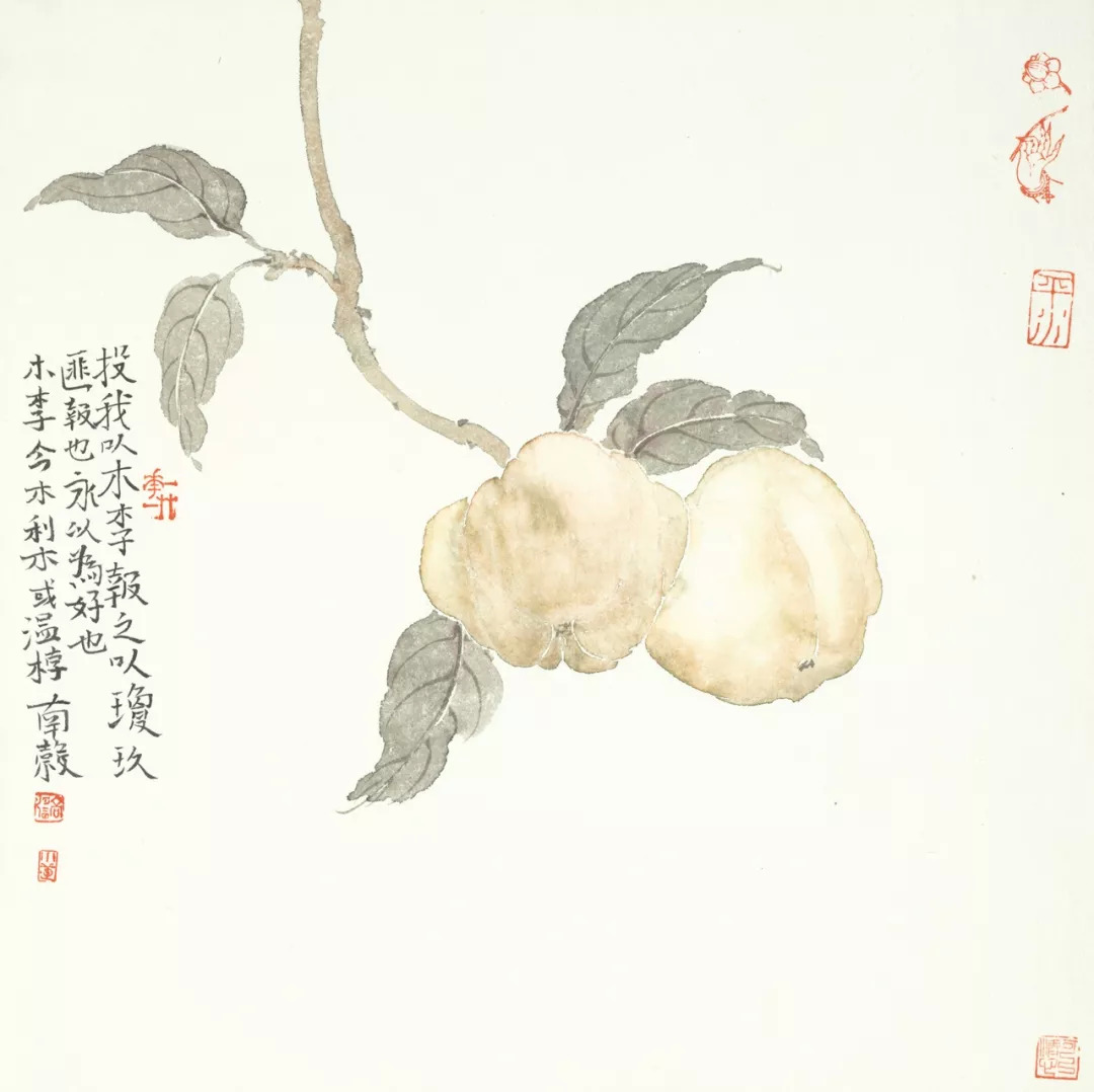 首套极具收藏价值的没骨画作品「诗经植物」由高强老师创作完成