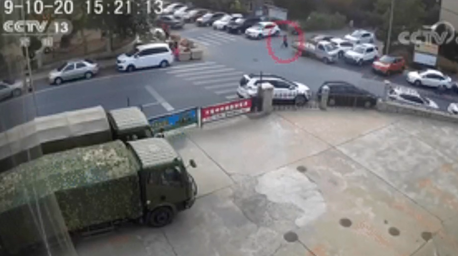 当一个孩童杀死另一个孩童:大连女童被害案罪与罚