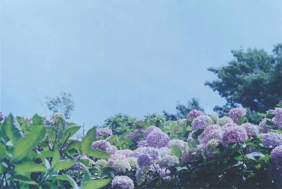 6位摄影师带你窥见6种不一样的日本