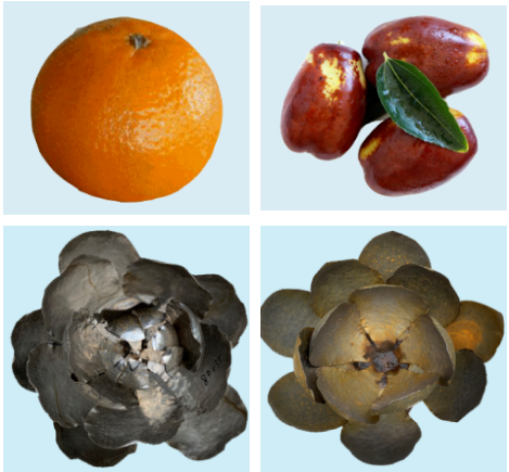 花篮内的果实分别为:苹果,桃,橘子,石榴,葡萄,枣.