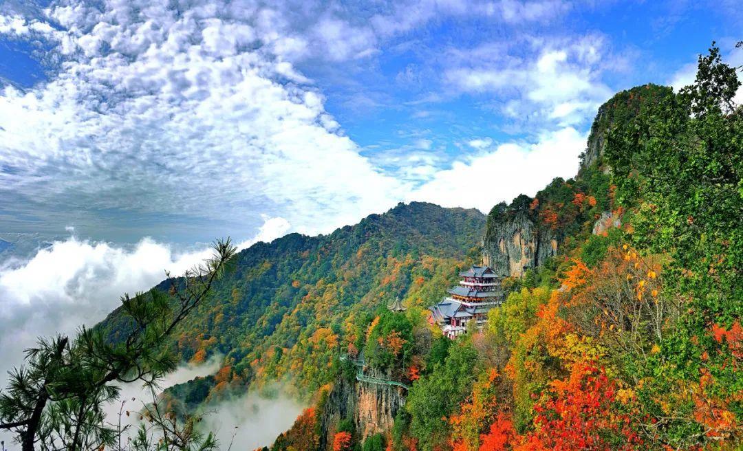巴山赏秋色,南宫红叶时,陕西(岚皋)南宫山红叶节开幕啦