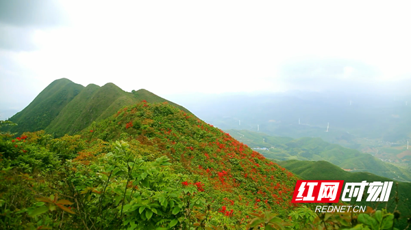 临武县金江镇金仙寨景区.