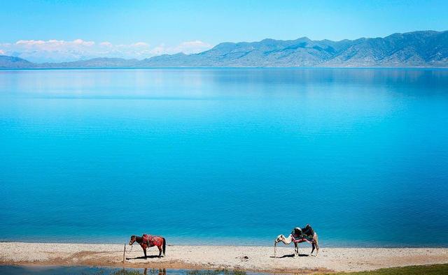 如果可以，一定要去新疆走一走，体会它的千种风情，万种风光（最新发布）