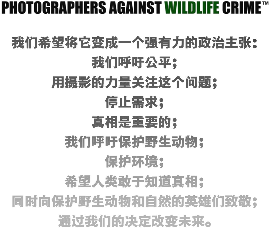 那些因人类的迷信娱乐贪婪，给野生动物带来的苦难