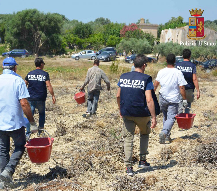 意大利，农民工太难了 | 地球知识局