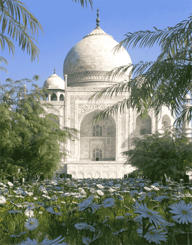 640_815 竖版 竖屏