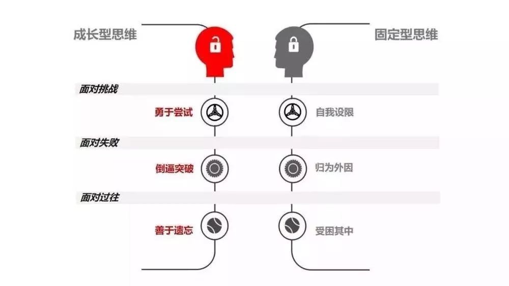 前段时间,我读了德韦克的《终身成长,很有启发.