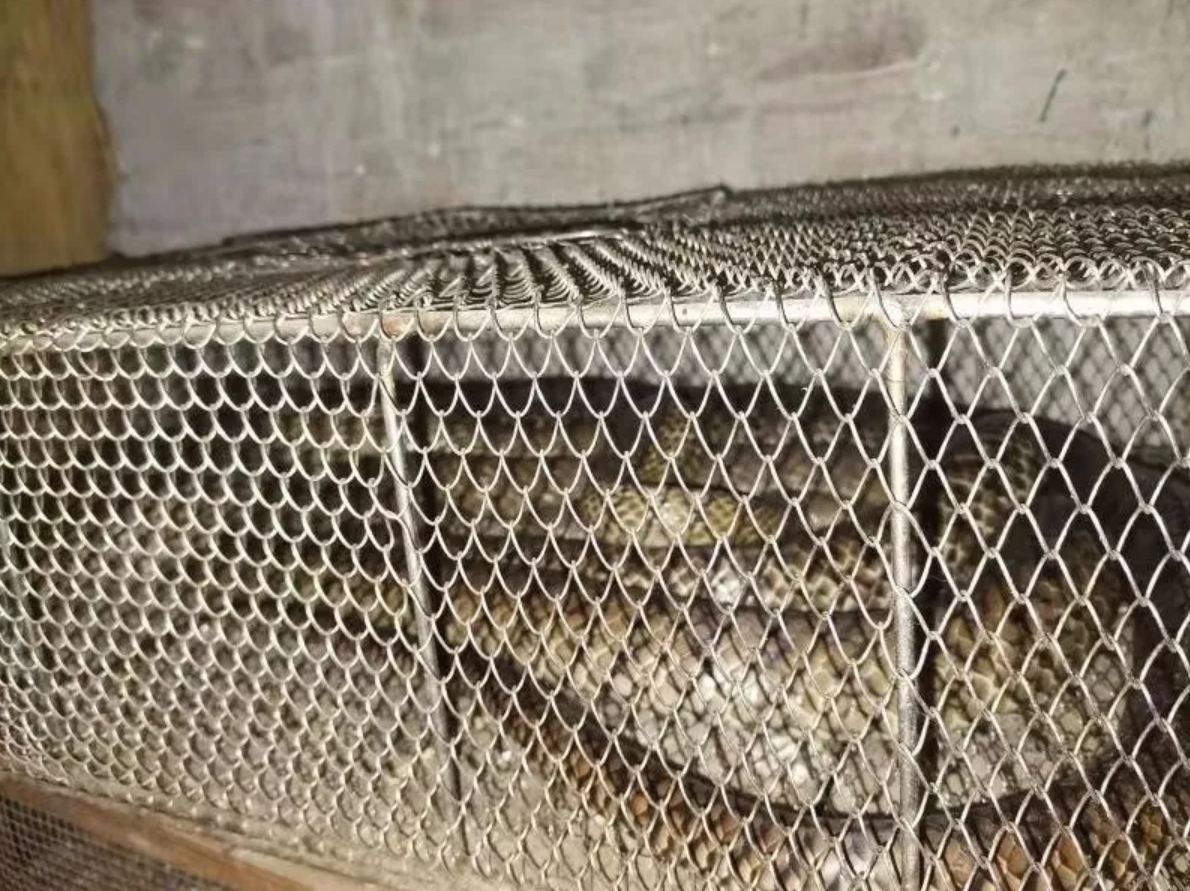 立法了！广东禁止滥食和交易野生动物