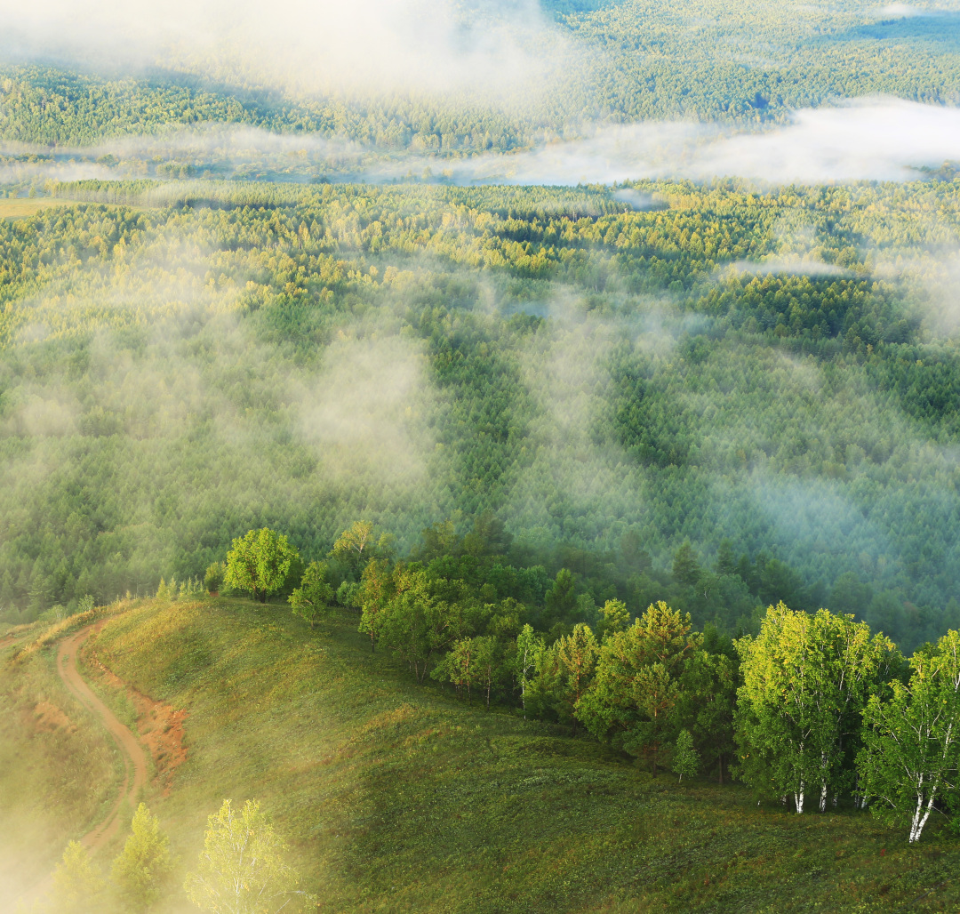 鲜卑人，从哪里来？ |　地球知识局
