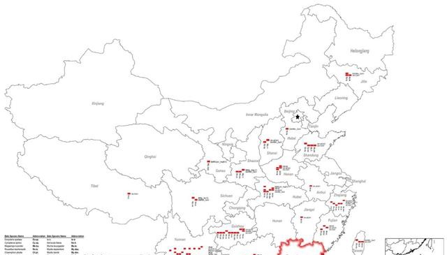 图|蝙蝠冠状病毒在中国的分布(来源:viruses)图片