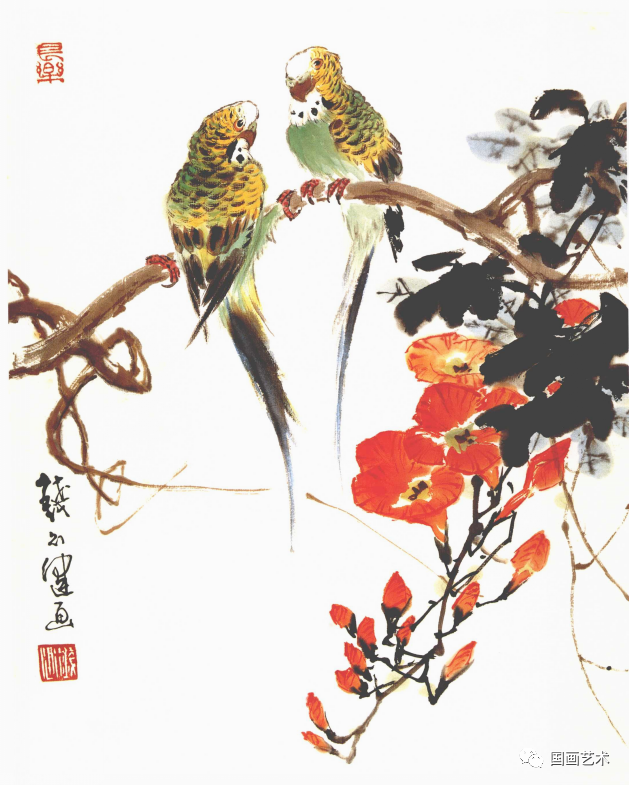 虎皮鹦鹉