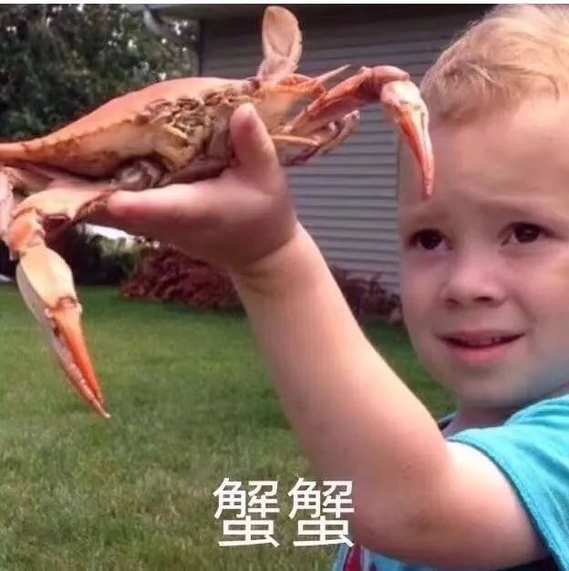 万没想到从外国朋友那里收藏的神梗图竟成圈粉利器