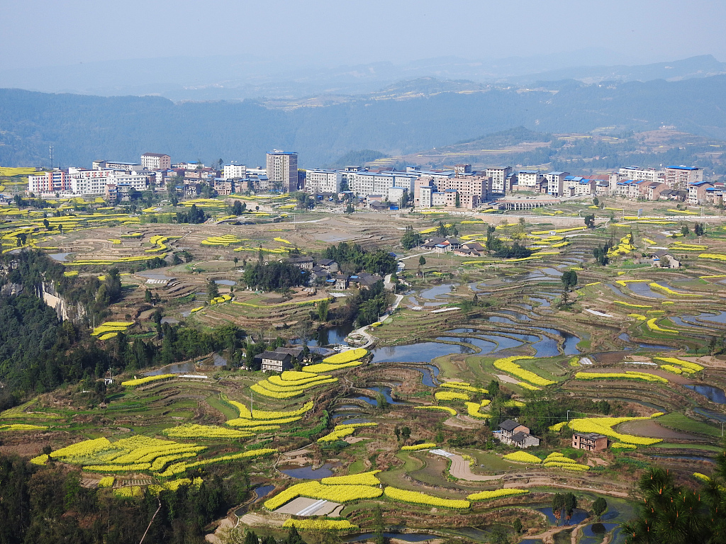 四川达州:梯田春光美