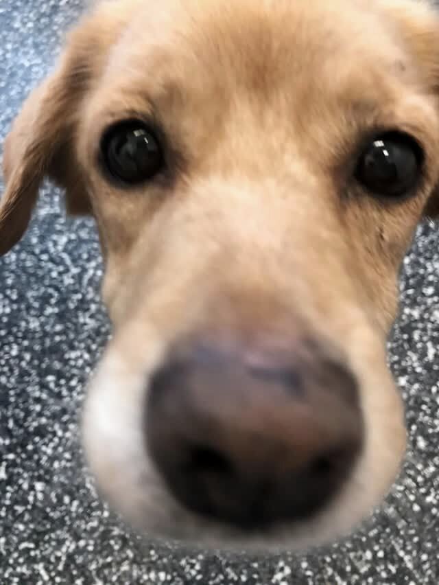 那天夜里，她闯进了陌生人的家……