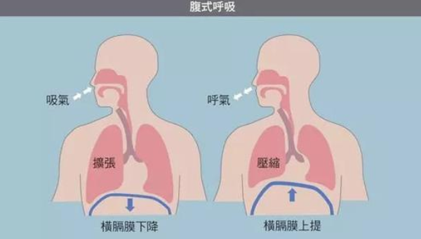 练瑜伽需要掌握呼吸法