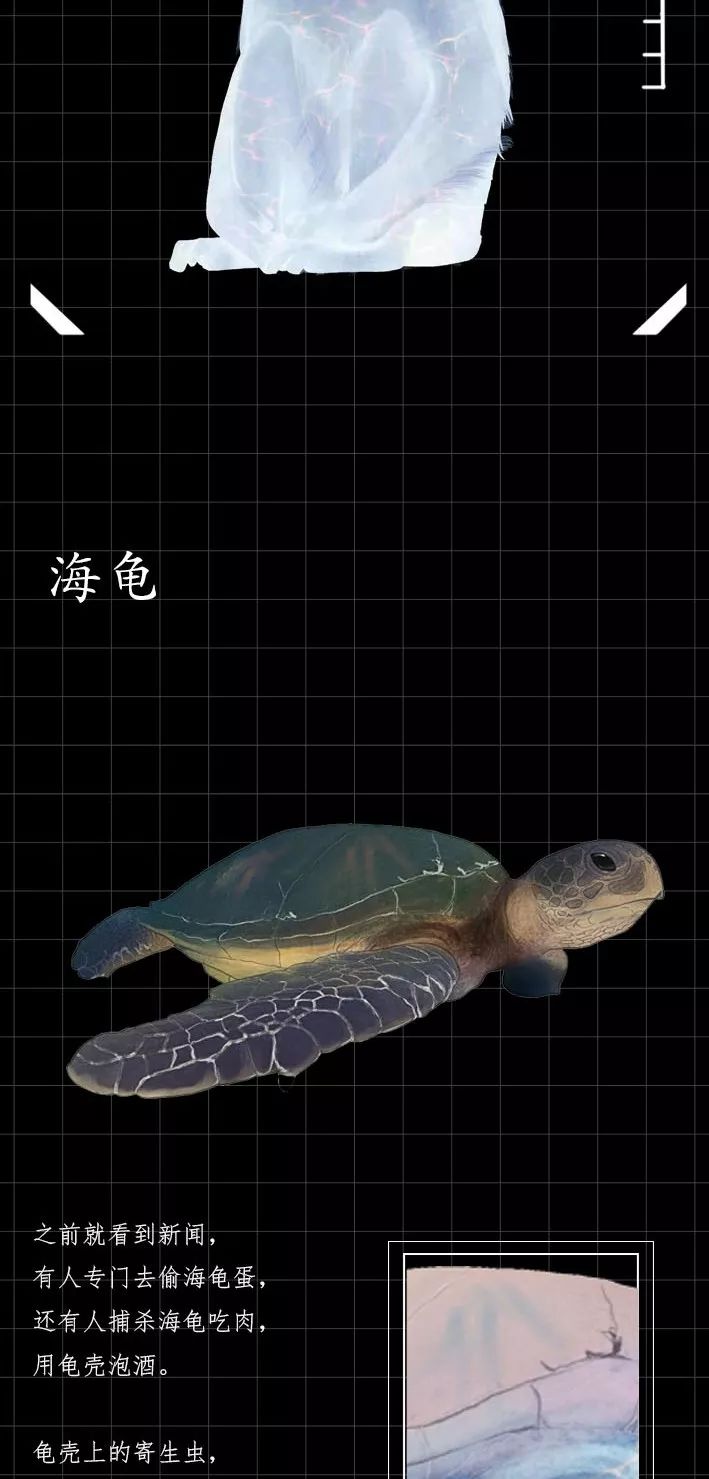 隐藏的「病毒携带者」曝光（赶紧举报）