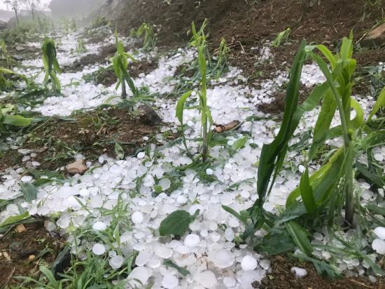 冰雹,雷雨,大风天气新现镇,玉屏镇,白河镇4月22日云南省红河州屏边县