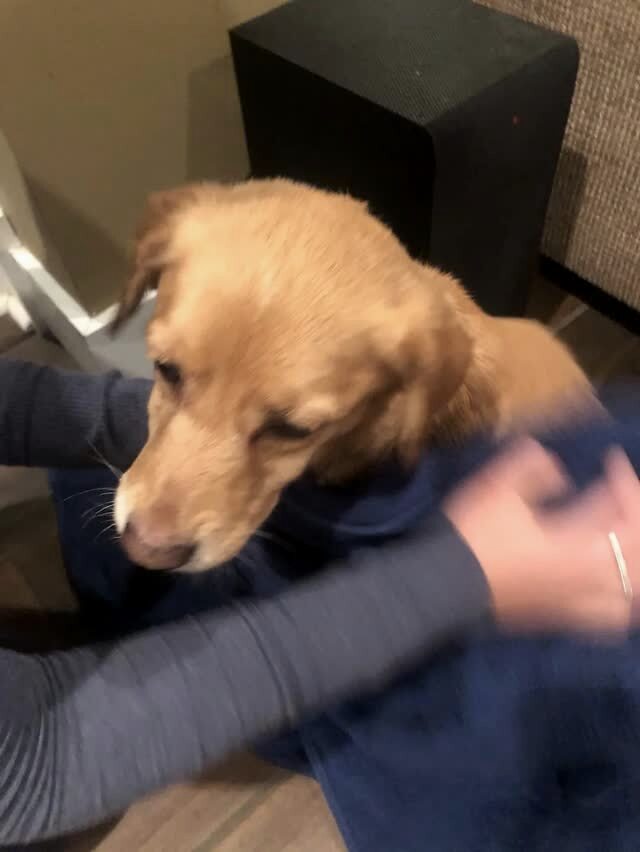 那天夜里，她闯进了陌生人的家……