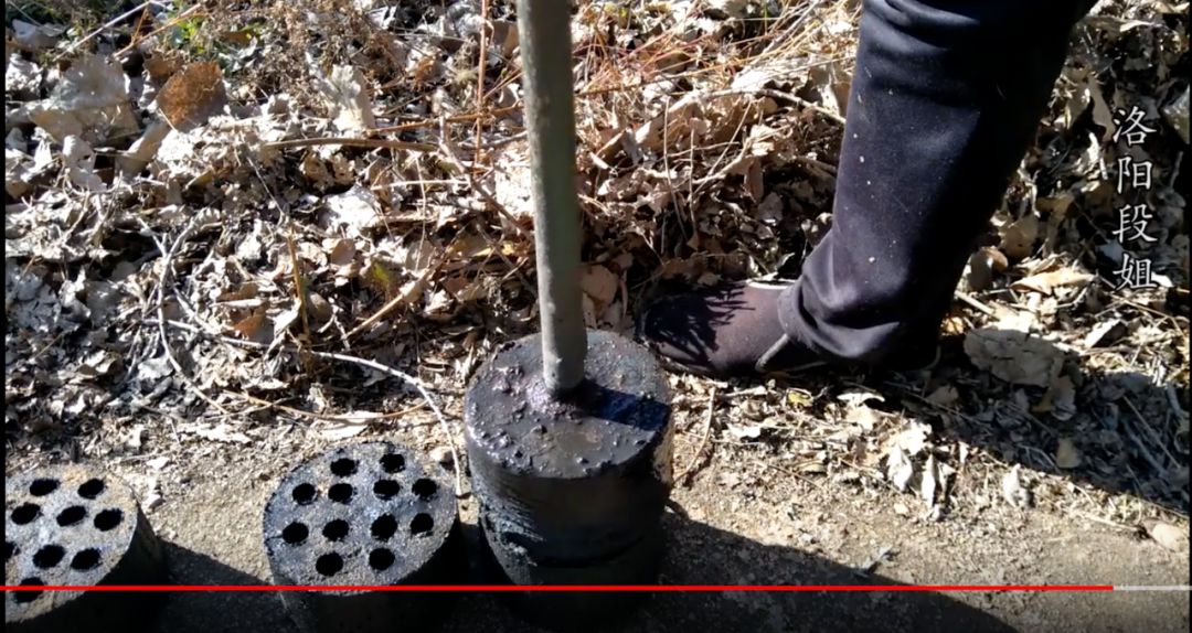 北方暖气神话是怎么来的｜大象公会