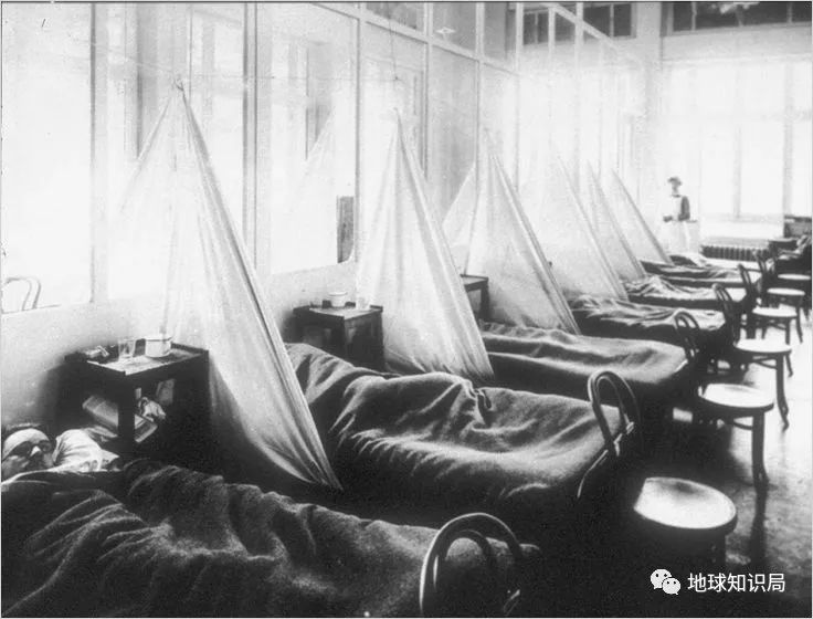 百年来最凶猛传染病，如何从天灾变成人祸？