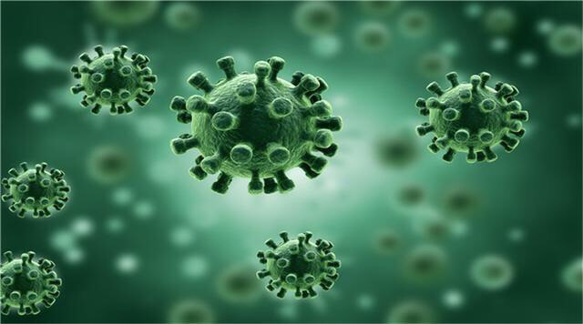 发病率高,巨细胞病毒危害新生儿健康