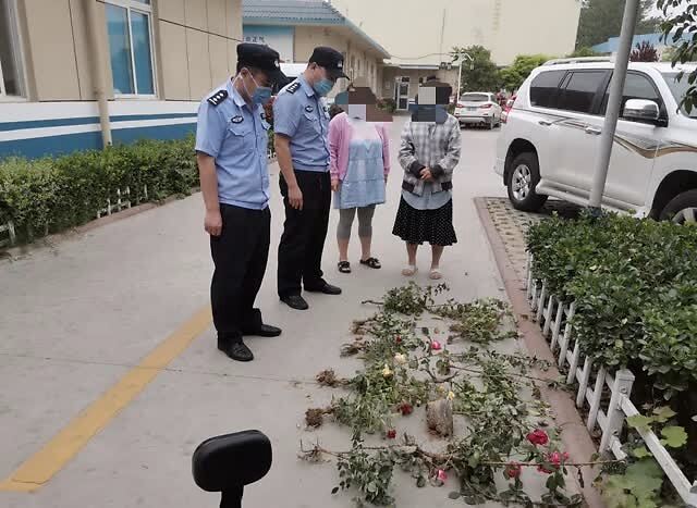 两女子用铁锨正在盗挖绿化带内种植的月季,遂依法将两人传唤至派出所