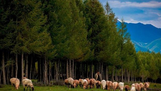 如果可以，一定要去新疆走一走，体会它的千种风情，万种风光（最新发布）