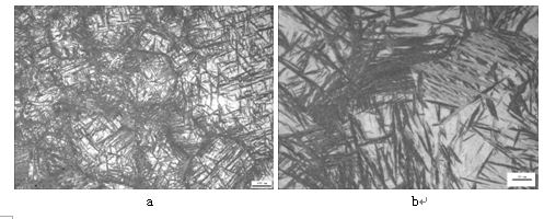 (3)t12钢淬火金相组织,见图4-37.