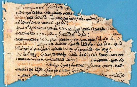 世界人民都有自己的中医|大象公会