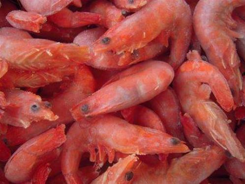 “家里蹲”期间实用囤肉指南