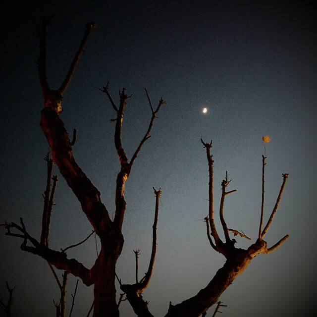 张耒《夜坐》诗,秋夜寒冷,独坐凄凉