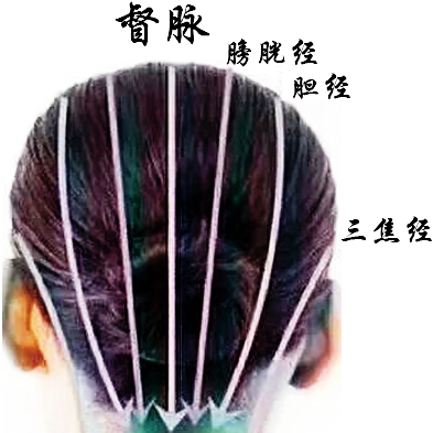 头疗育发为什么那么受欢迎,什么样的人不能做头疗?