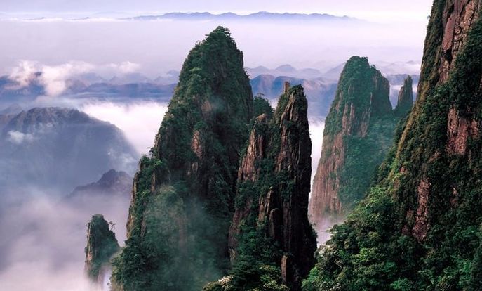 是我国南方面积最大,生物物种保存最完好的国家森林公园