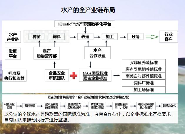 在欧美成熟市场正在加强产业链两端的布局,尤其是下游高附加值产品